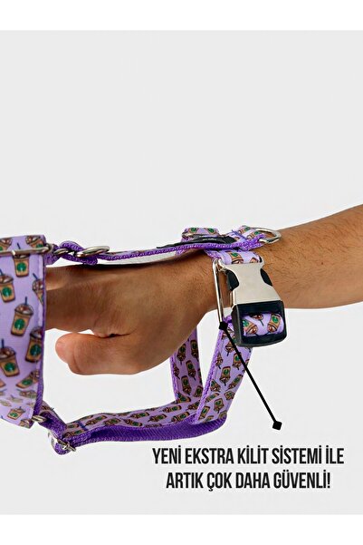 Jimi pet Tasma Seti Medium Beden Starbucks Model