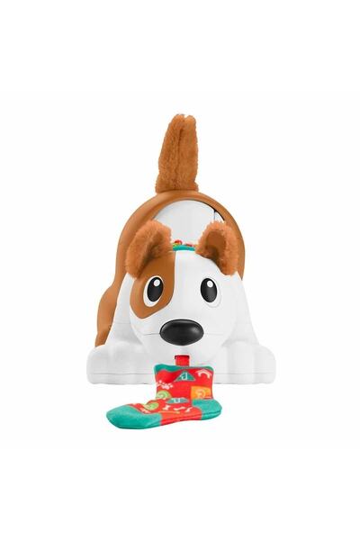 FISHER PRICE Emekleme, Sayı Saymayı Öğreten Köpekçik Hhh13