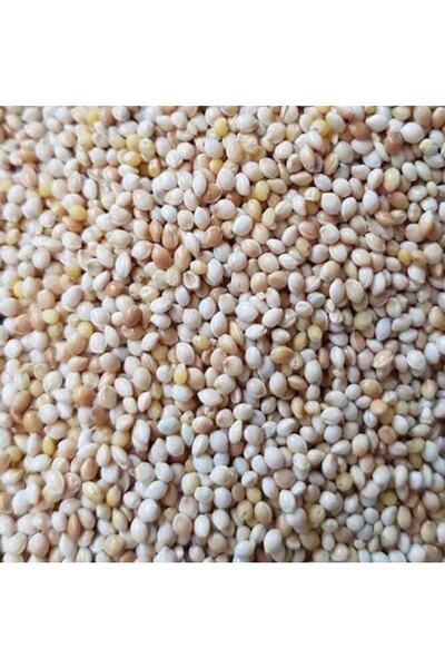 Genel Markalar Muhabbet Kuşu Yemi Sade Ak Darı 25 Kg