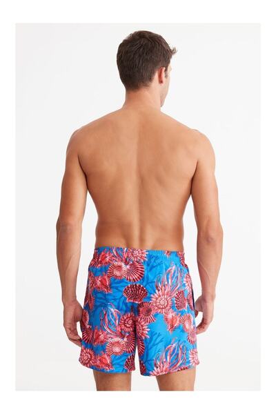 Kom Сортування гребінців