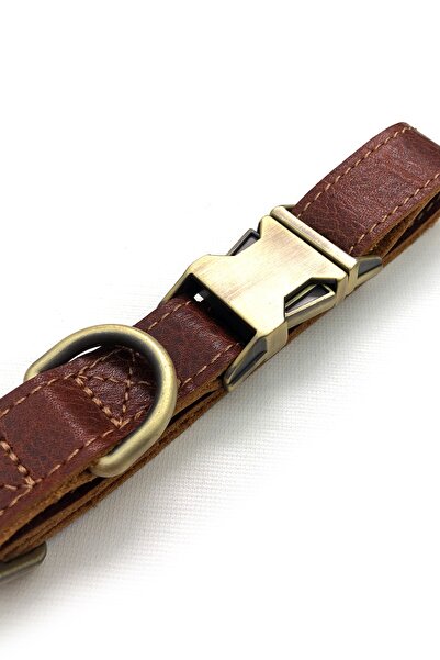 Habby Accessories طوق كلب فاخر من الجلد مقاس 20 مم - قابل للتعديل - قفل متين ...