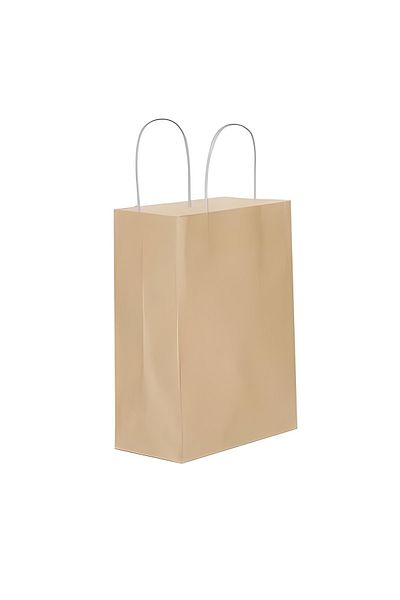 Big Party Paper Bag 18x24 Cm Kraft 25 Pieces