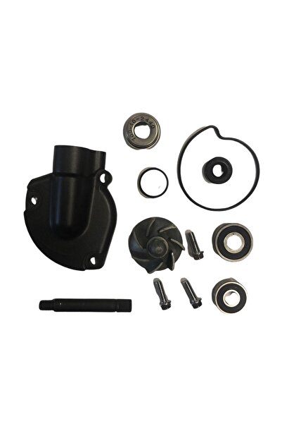 REGAL RAPTOR Su Pompası 250 Orijinal