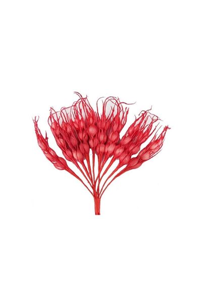 Cennet Süs Μοντέλο Flower Spike - 100 Τεμάχια Κόκκινο 7 εκ