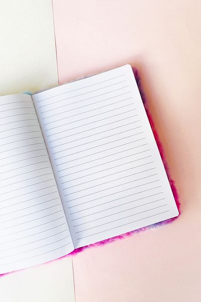 Çılgıntrend Plush Notebook with Teddy Bear Squish