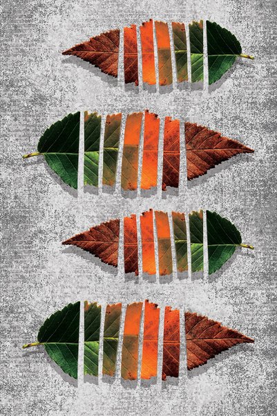 Viva Home Premium Tablecloth Thai Feather Velvet Washable Stain Resistant Fabric with Leaves Mso098