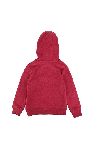 U.S. Polo Assn. Суичър за момче
