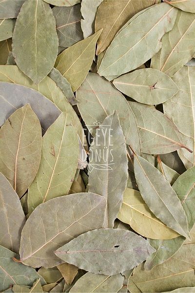 EGEYE DÖNÜŞ 10 gr.Laurel Leaf - Jar Look, Ziplock Storage Bag