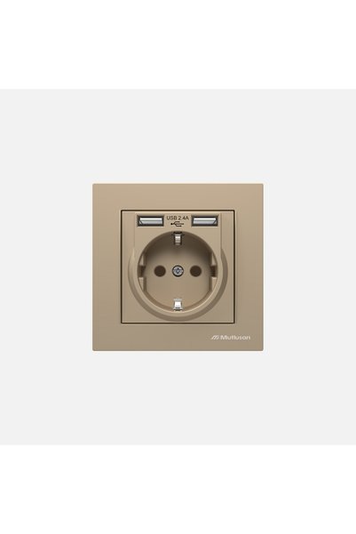 Generic Brand Rita 2-Piece USB Grounded Socket Gold