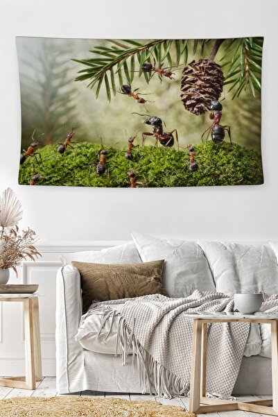 BAMBAŞKA MODA غطاء حائط مزخرف مقاوم للبقع وقابل للغسل من النمل Bmdö-2036