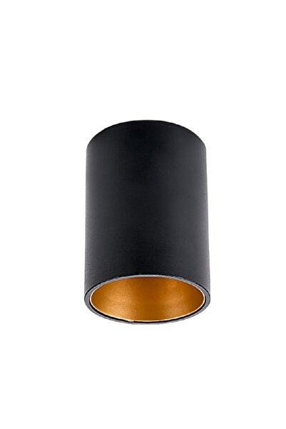 Cata Assos Siyah Gold Tavan Armatürü Ct-5418