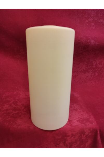 KUĞULU Tekli Avize Camı.silindir.somon Renkte.h..25.00cm.çap..12.00cm.