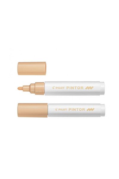 Pilot Pintor (M) - Pastel Orange
