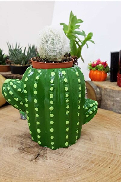 3D Kaktüs Ve Succulentler Için El Yapımı Kaktüs Tasarım Minnoş Saksı