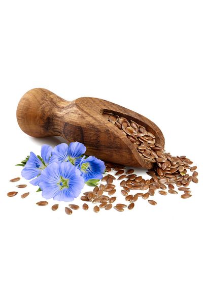 bitki diyarı Flax Seeds 100gr