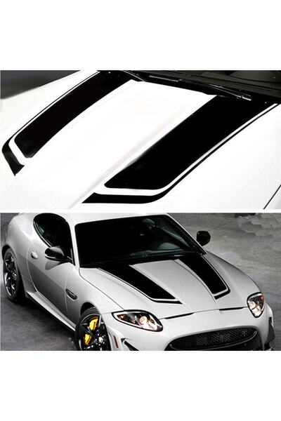 Vegatasarım Oto Araba Kaput Sticker Çıkartma - Mz