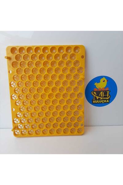 M&H Bıldırcın Viyolü Kuluçka Makinesi Için 129 Yumurta 38x31