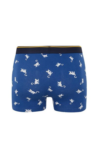 DeFacto Regular Fit Boxer