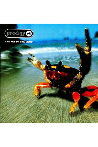 plakmarketi Yabancı Plak - Prodigy / The Fat Of The Land (2lp)