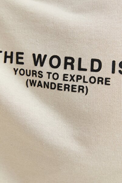 LC Waikiki Pánská mikina