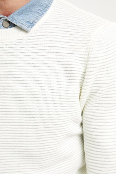 LC Waikiki Ανδρικό πουλόβερ