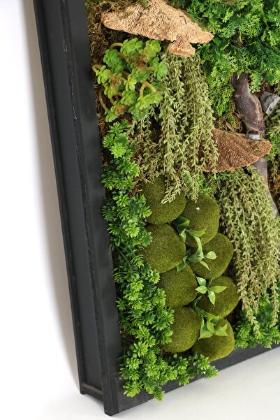 Yapay Çiçek Deposu Ahşap Panoda Bitki Duvar Sukulent Bahçesi Tablo 50 Cm X 100 Cm