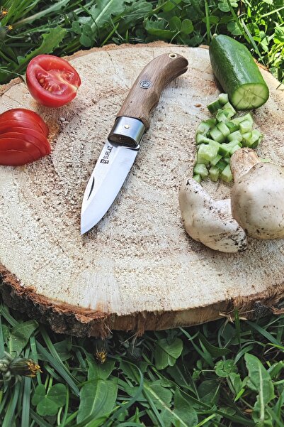 SürLaz Mutfak Bıçağı Kamp Bıçak Katlanır Et, Ekmek, Sebze 20 Cm.