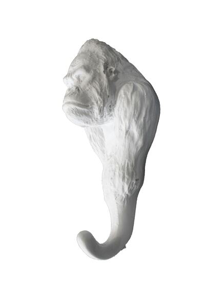 valena Поліестерна настінна вішалка Goril 15x7 см Hyk710