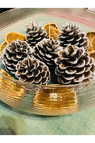 Arasta avm 6 τεμάχια στολίδια για χριστουγεννιάτικο δέντρο, φυσικό κώνο από χ...