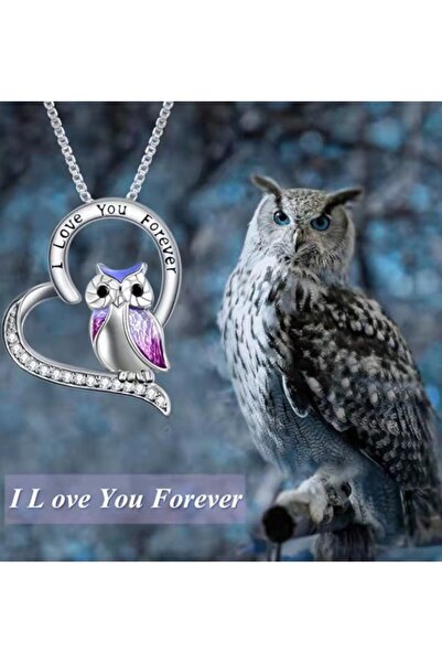 Modaadresiniz Kristal Taşlı Kalp Ve Baykuş Tasarım Özelgün Hediyesi Aşk Kolyesi