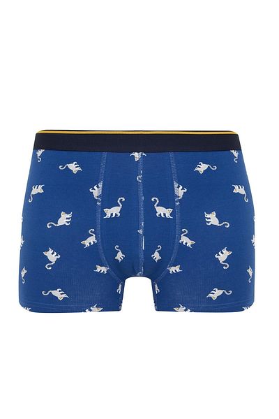 DeFacto Regular Fit Boxer