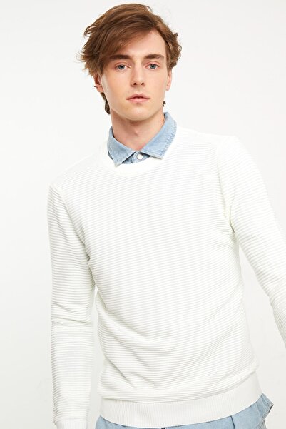 LC Waikiki Ανδρικό πουλόβερ