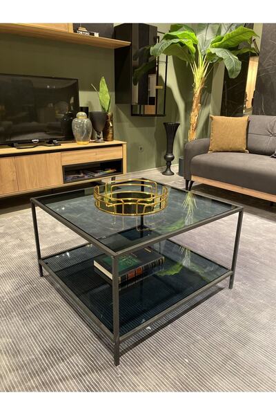 MONEayna Kaylee Orta Sehpa/füme Cam M002t