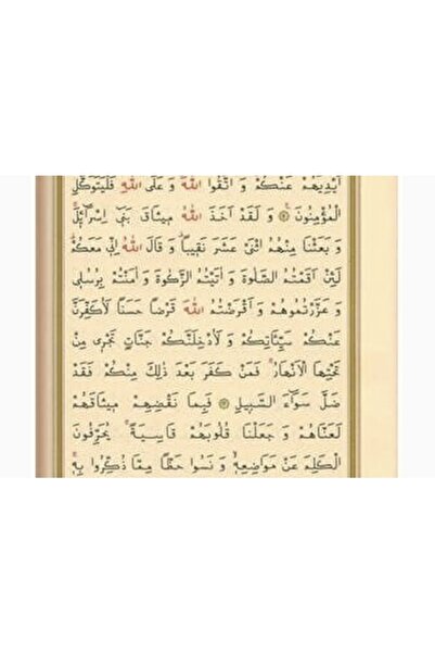 Hayrat Neşriyat Hayrat Kalem Kuran- Kuran Okuyan Kalem-ortaboy-yeşil-karton Kutu