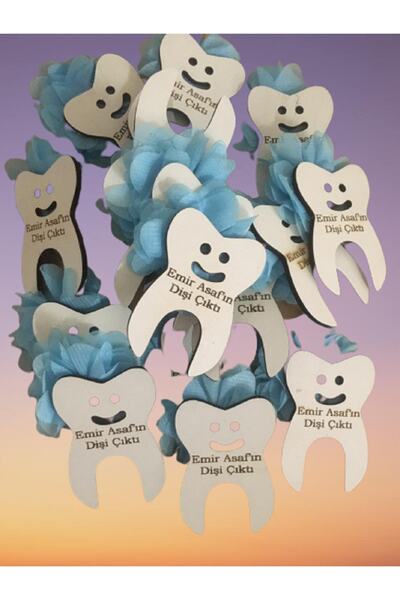 Evsay Ilk Dişim Çıktı Magnet Dağıtmalık Magnet 25 Adet