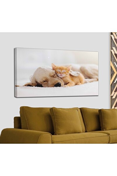 Sennight Golden Köpek Ile Uyuyan Yavru Kedi Dekoratif Kanvas Tablo 1176