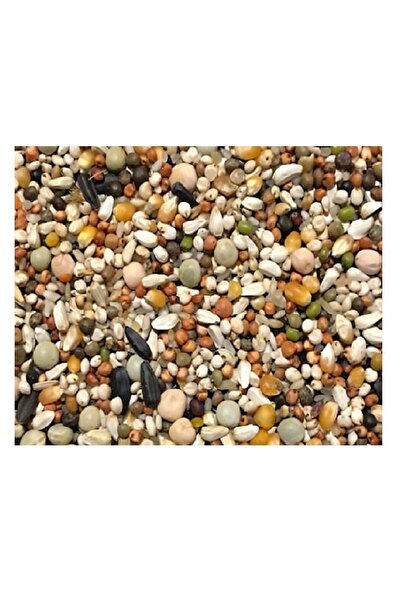 ünal file 5 kg Zengin Karışık Tavuk Yemi Güvercin Yemi Karışık Yem Tozsuz Kaz...