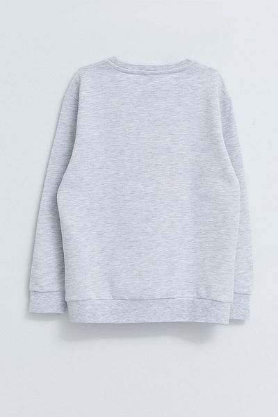 LC Waikiki Sweatshirt - Grau - Regular Fit