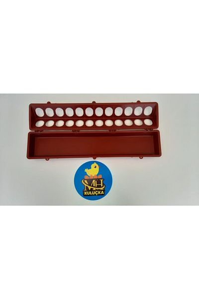 M&H Chick Quail Cake Pot Feeding Bowl 50 Cm