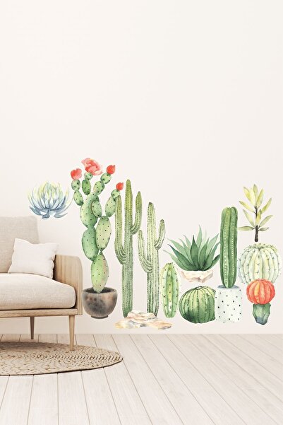 Sticker Ekspres Kaktüs Sukulent Duvar Sticker Seti
