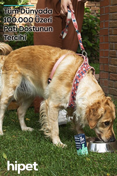 HiPet Sıvı Probiyotik Köpek Bağışıklık Güçlendirici Probiyotik 50 ml