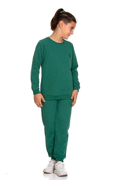 UMKEM Dinosaur Embroidered Primary School Kindergarten Set with Dinosaur Amplem 2-9 Years Old