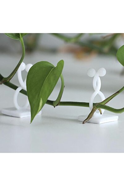 OEM Sarmaşık Çiçek Tutucu Duvar Tutturma Aparatı Yapışkanlı Tutucu 100 Adet k...