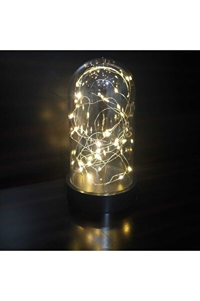 Genel Markalar Peri Ledli Ters Mika Fanus , Teraryum Gece Lambası ( Piller Da...