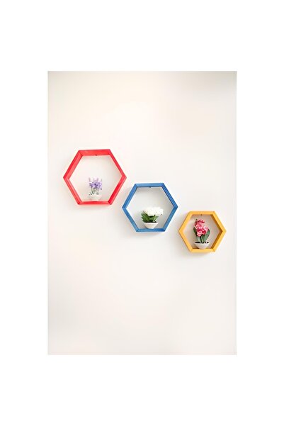 Antalya Kent ekipmanları 3'lü Ahşap Renkli Beşgen Dekorasyon Raf