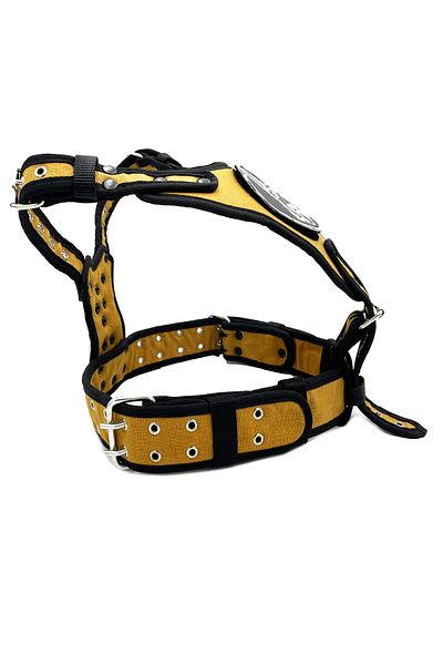 Tasma Market Golden Retriever Mustard Dog Chest Collar