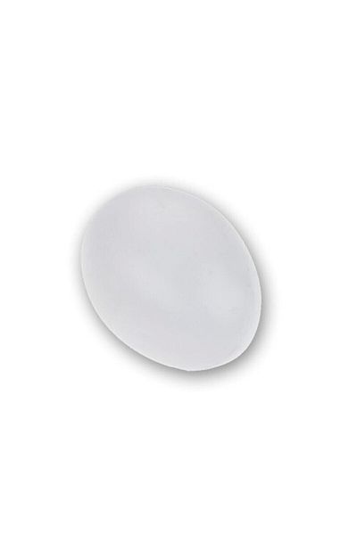 KARAHİSAR KULUÇKA Plastic Chicken Egg White 20 Pieces