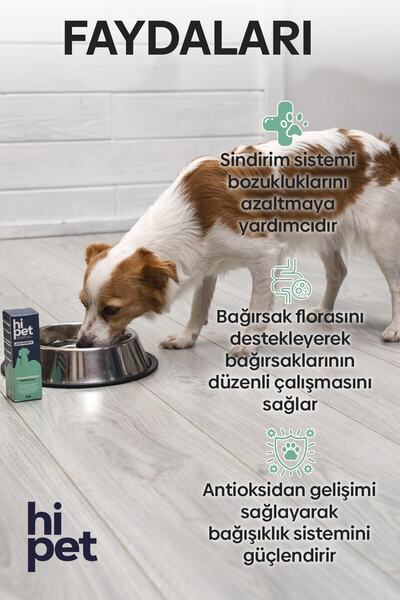 HiPet Sıvı Probiyotik Köpek Bağışıklık Güçlendirici Probiyotik 50 ml