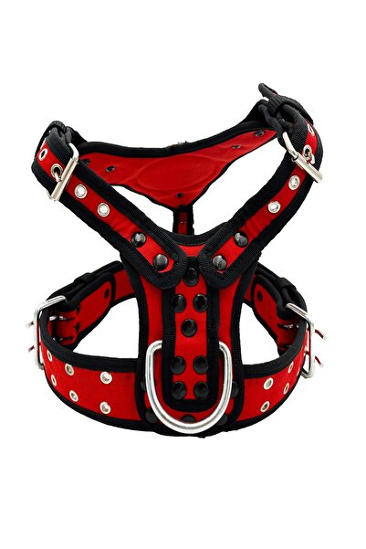 Tasma Market Kırmızı Doberman Köpek Göğüs Tasması Göğüslük Tasma