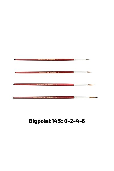 Bigpoint مجموعة فرشاة مستديرة بشعيرات المهر من سلسلة 145 مكونة من 4 قطع 0-2-4-6